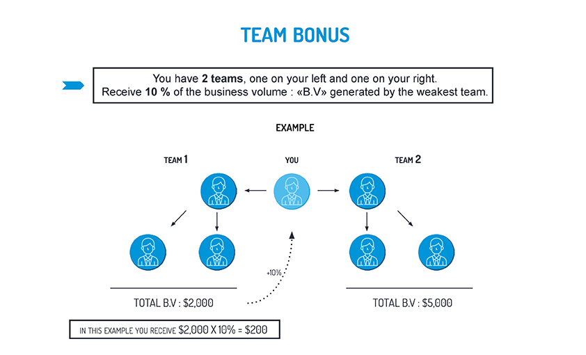 Бонус team. Бинарный маркетинг. Бинарный маркетинг схема с уровнями. Bonus Team. Бинарный маркетинг Лотус.